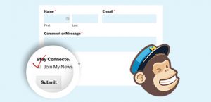 How-to-Add-a-MailChimp-Signup-Checkbox-to-Your-Contact-Form